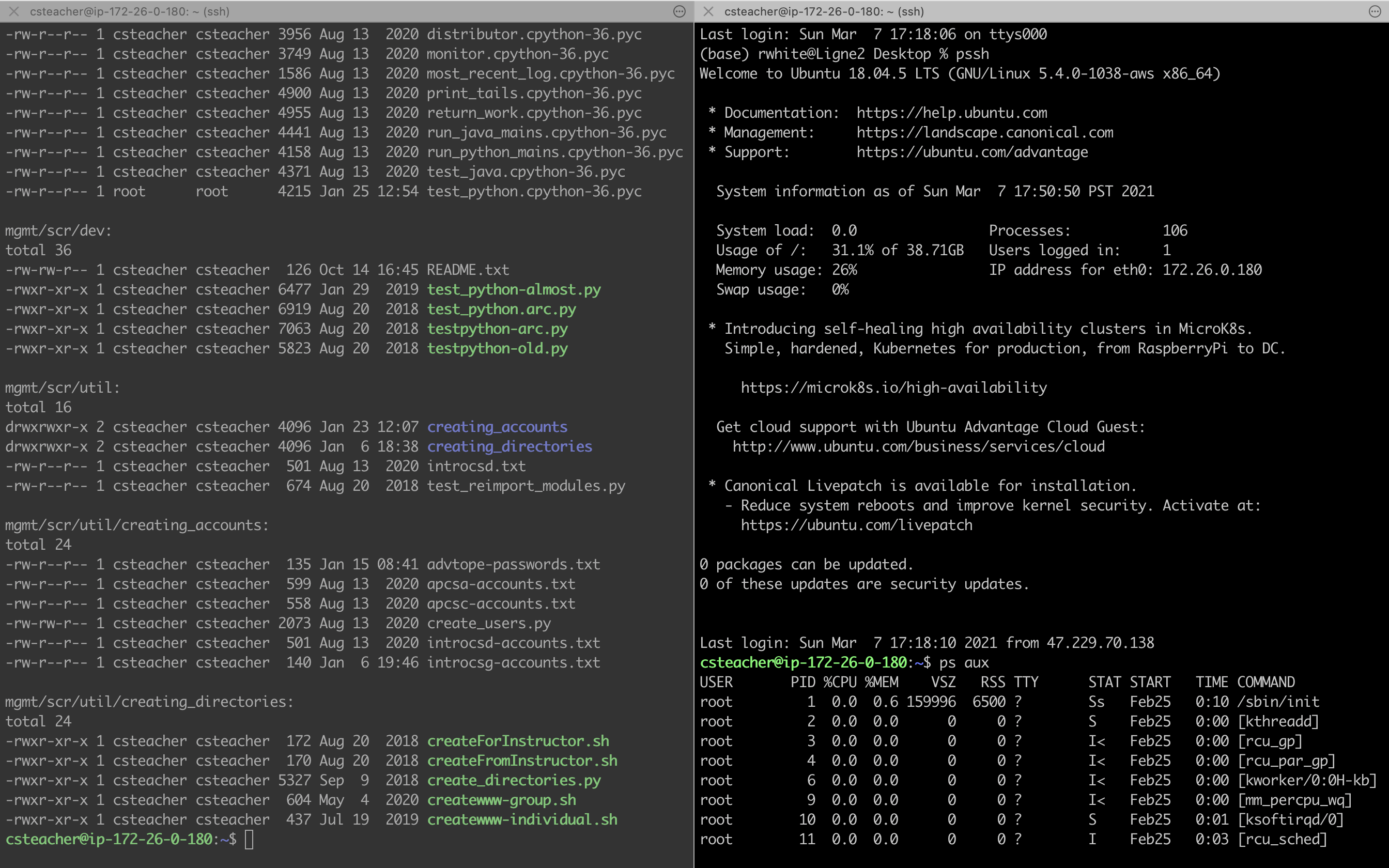 Polytechnic Computer Science - Raspberry Pi Server